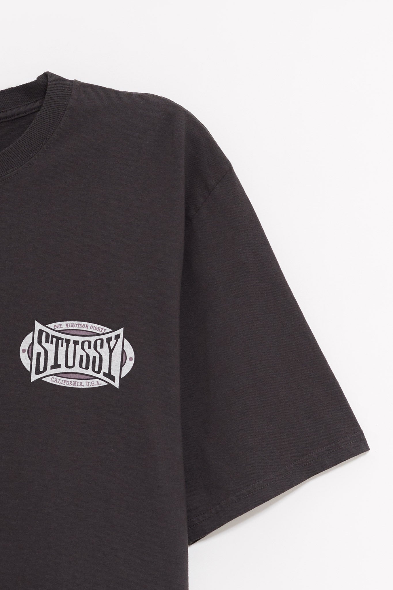 STUSSY FADED BLACK CHAMPION OVAL PIG DYED T SHIRT